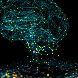 Digitales Kompetenzzentrum stärkt Innovationskraft