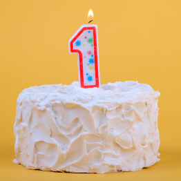 Ein Jahr jung – und schon erwachsen