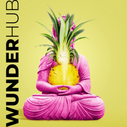 WUNDERHUB (vormals mayer-digital) macht Marketing smart